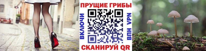 Галлюциногенные грибы Magic Shrooms Купить где Куртамыш